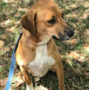 Meet your Posher, Lisa